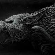 Moth 666