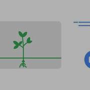 Screencast On Chromebook Getting Started Transcript Tools Demo