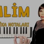 ZALİM Melodika Notaları Sezen AKSU
