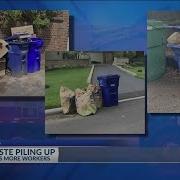 Yard Waste Piling Up