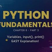 Class 11 Chapter 6 Python Fundamentals Part 3 Input And Output Print Input Explained