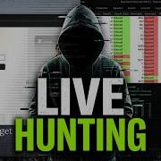 Live Hacking Session 2 Hours Of Bug Bounty CVE Hunting On Dub Co No Commentary