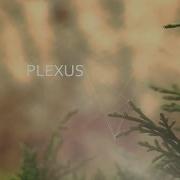 Plexus Title Animation