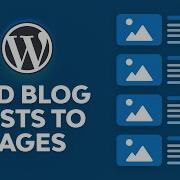 How To Add Blog Posts To Pages In WordPress