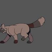 Cat Walk Cycle Test Animation