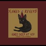 Slowed Reverb Knee Deep At ATP Lovejoy Los Campesinos