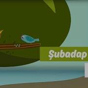 Serçe Animasyon Şubadap