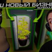 МЫ 100 ДНЕЙ ВЫРАЩИВАЛИ ТРАВКУ и ВОТ ЧТО из ЭТОГО ВЫШЛО SCHEDULE FREE SAMPLE