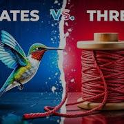 Flutter Isolates VS Threads