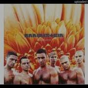 Rammstein Der Meister Official Audio