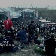 My Brutal Assault 2012