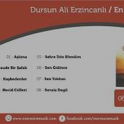 Dursun Ali Erzincanlı En Sevgiliye 2 Sen Gidince