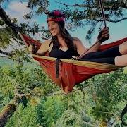 Sleeping 300 FEET High Up An Old Growth TREE Hammock Camping