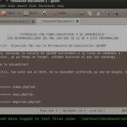 Inyección Sql Con Backtrack 5 R3 Básico
