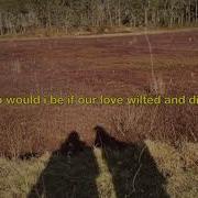 Sophie Holohan Codependent Official Lyric Video