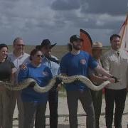 2026 Florida Python Challenge Set To Kick Off In July