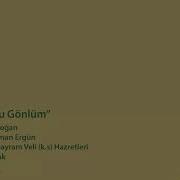 Noldu Bu Gönlüm