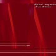 Whiteout Stay Focused Extended Mix