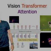 Vision Transformer Attention