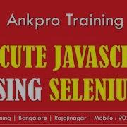 Selenium With C 51 IJavaScriptExecutor Interface How To Execute JavaScript From Selenium