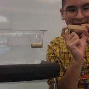 Density Guide Lab Demo