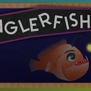 All About Anglerfish