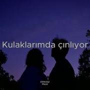 Nilüfer Son Arzum Sözleri Lyrics