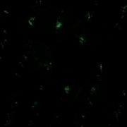 Light Sleeping At Last Micro Music Video