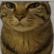 Recording A Terminal Window In Linux