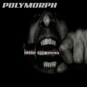 Polymorph PROGRESSO EDIT 2