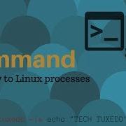 Ps Command In Linux To View All Processes
