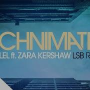 Technimatic Parallel Ft Zara Kershaw LSB Remix