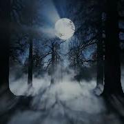 Cinematic Haunted Forest Timelapse Moonlight Mist Mystery