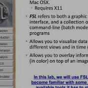 Lab3 IntroToImageAnalysis