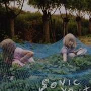 Disconnection Notice Sonic Youth