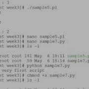 Week 3 Writing Sample Scripts With Perl And Python In Vi And Nano