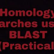 Homology Similarity Searches Using BLAST Practical