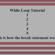 JavaScript While Loop Tutorial With Break Statement