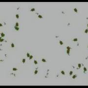 HTML 5 RTS Test Infrantry