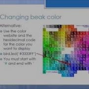 Finch Dance Program Tips 1 Beak Color