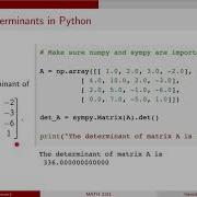 MATH 3191 Determinant Matrices Using Python