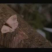 Special Effects Camouflage Tests Predator 1987 Extras