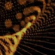 Trapcode Form Audio Visualization After Effects Background