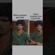 The Two Faces Of Programmer Bugs Vs Success Codingmemes Funnymemes Shortsfunny