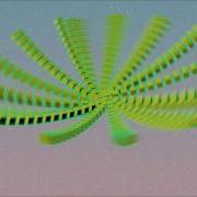 Array Animation