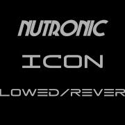 ICON Nutronic Slowed