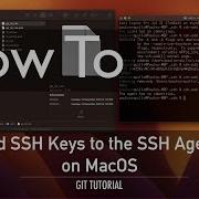 How To Add SSH Keys To The SSH Agent On MacOS