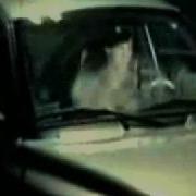 Леди Феникс Wmv