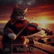 The Crow Violin Cat