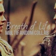 Multifandom Collab Breath Of Life